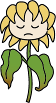 しおれたヒマワリのイラスト